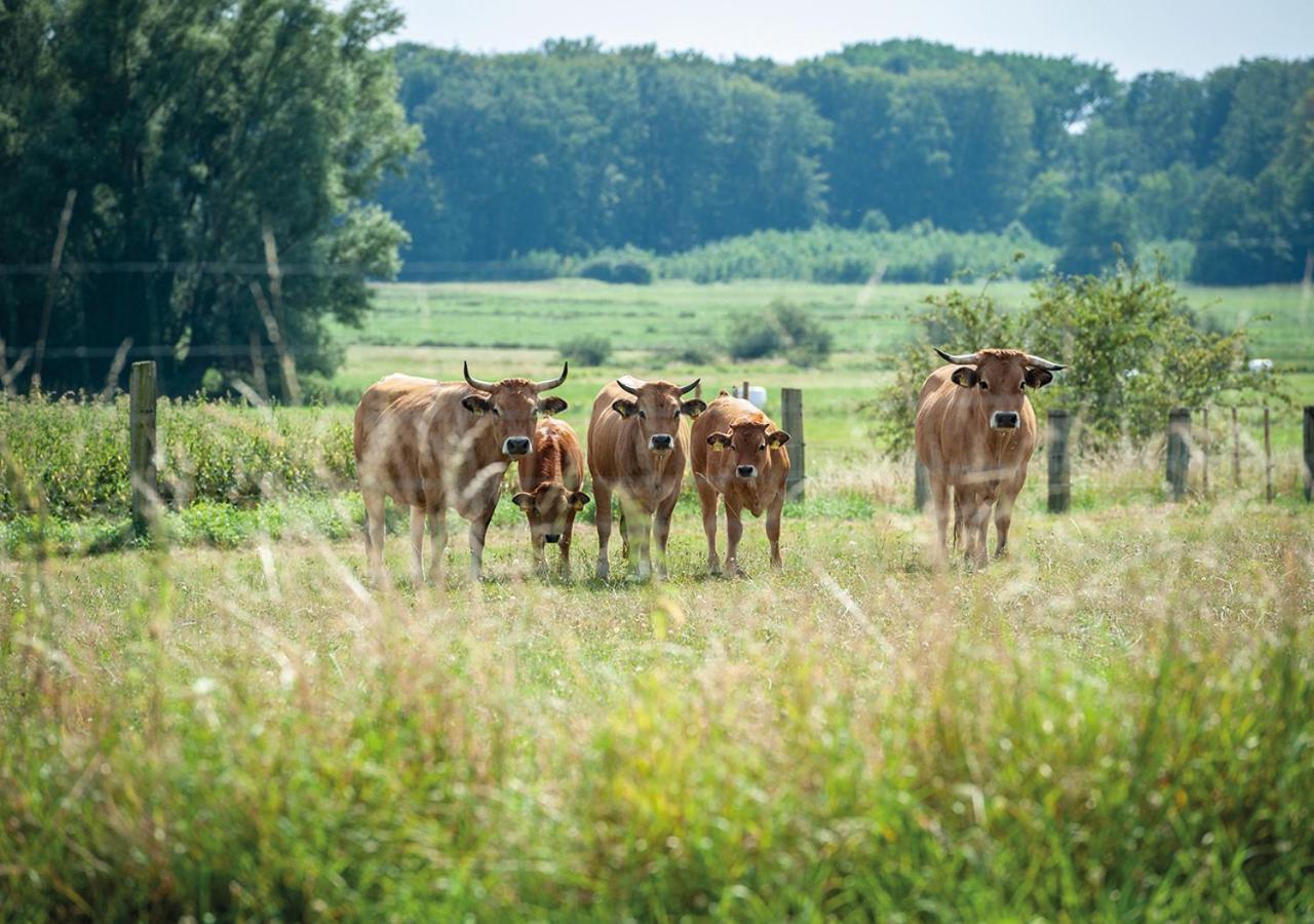 Feldgang Ein Gaestehaus! Upahl